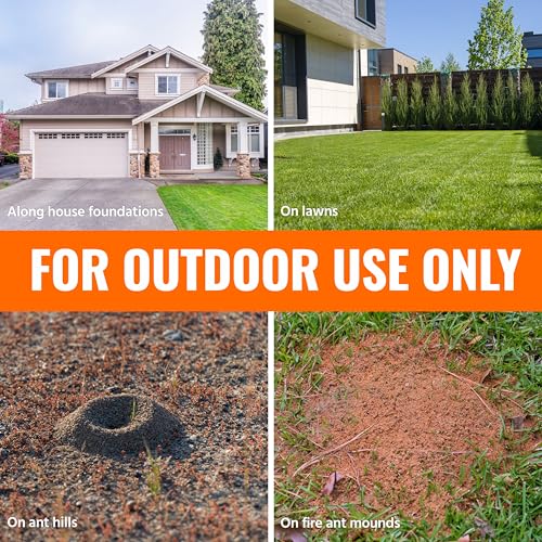 TERRO Ant Killer Plus, Multi-Purpose Insect Control Granules, 2 Pack | Kills Fire Ants, Cockroaches