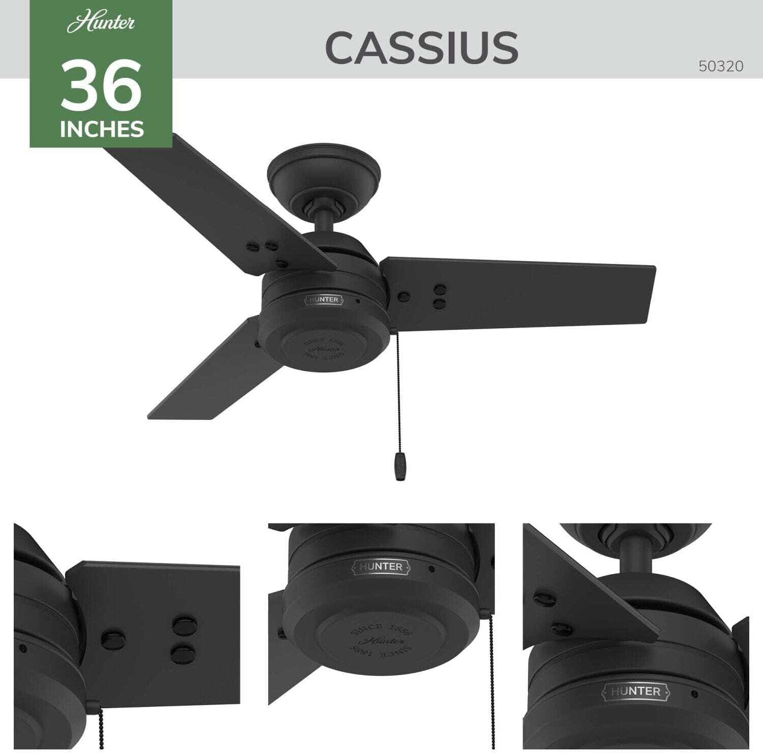 Hunter Cassius, Outdoor or Indoor, Ceiling Fan, 44 inch, Matte Black