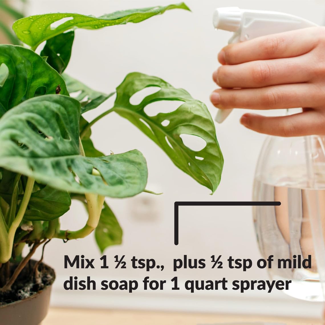 SUPERthrive Organic Pure Neem Oil, Cold-Pressed, Concentrate, 8 oz | 100% cold pressed & filtered. No additives, biodegradable. For leaf polish and plant care.