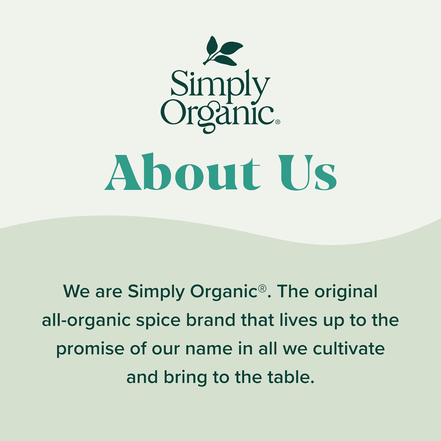 Simply Organic All-Seasons Salt, Certified Organic, 4.73 oz Container