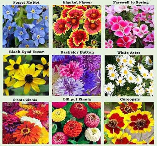 25 Heirloom Flower Seed Packets for Planting: 20+ Varieties Flower Seeds - Forget Me Not, Sunflower, Marigold, Zinnia Lilliput, Snapdragon