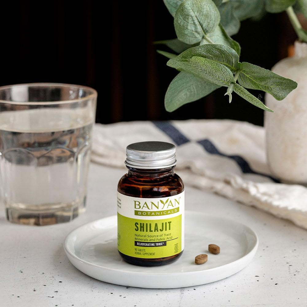 Banyan Botanicals Shilajit – 90 Pure Pressed Tablets for Energy & Vitality*