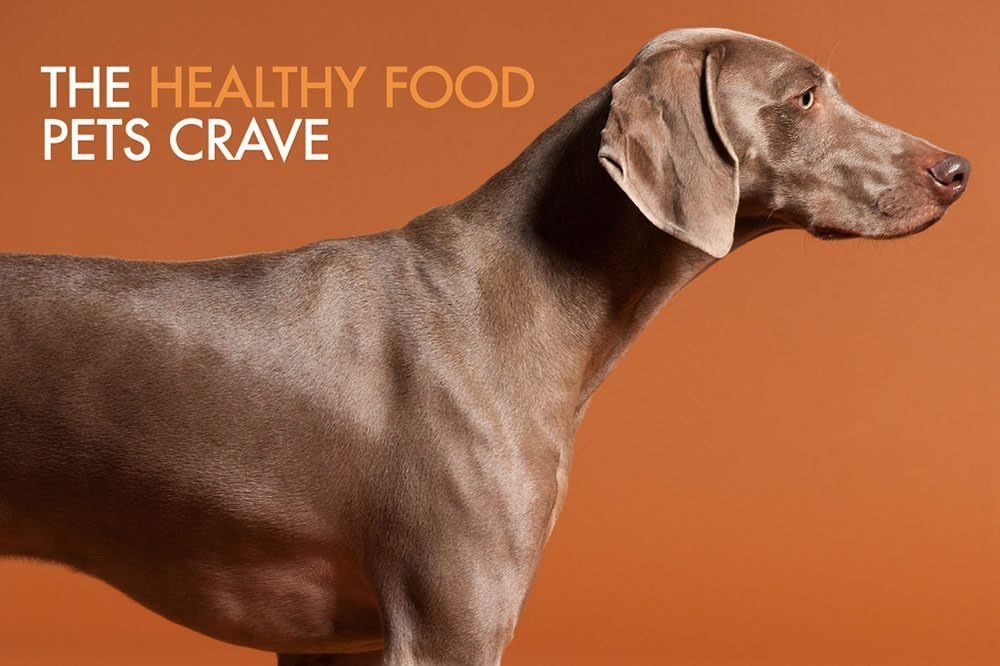 Addiction Venison Recipe Meaty Bites, All Natural Free Range Grain Free High Meat Dog Treats, 4 Oz.