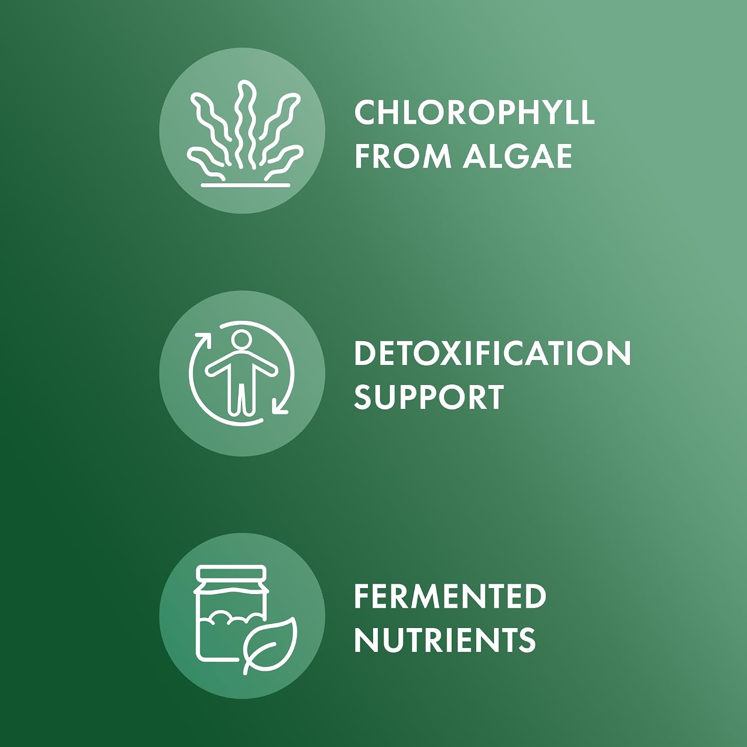 Dr. Mercola Fermented Chlorella - Supports Normal Detox & Cellular Energy - with Chlorophyll & Trace Minerals - Vegan - Non-GMO - 1 g - 450 Tablets