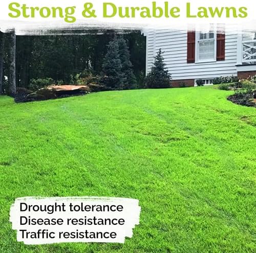1/4 Lb Zenith Zoysia Grass Seed (Zoysia Japonica) – Zenith Zoysia Seeds for Lawn – Dense, Grass Seed Shade & Drought Tolerant