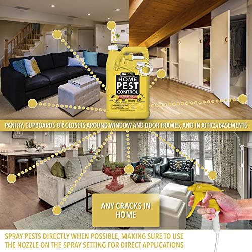 Harris Home Insect Killer, Liquid Gallon Spray with Odorless and Non Staining Residual Formula - Kills Stinkbugs, Ants, Roaches, Spiders, Fleas