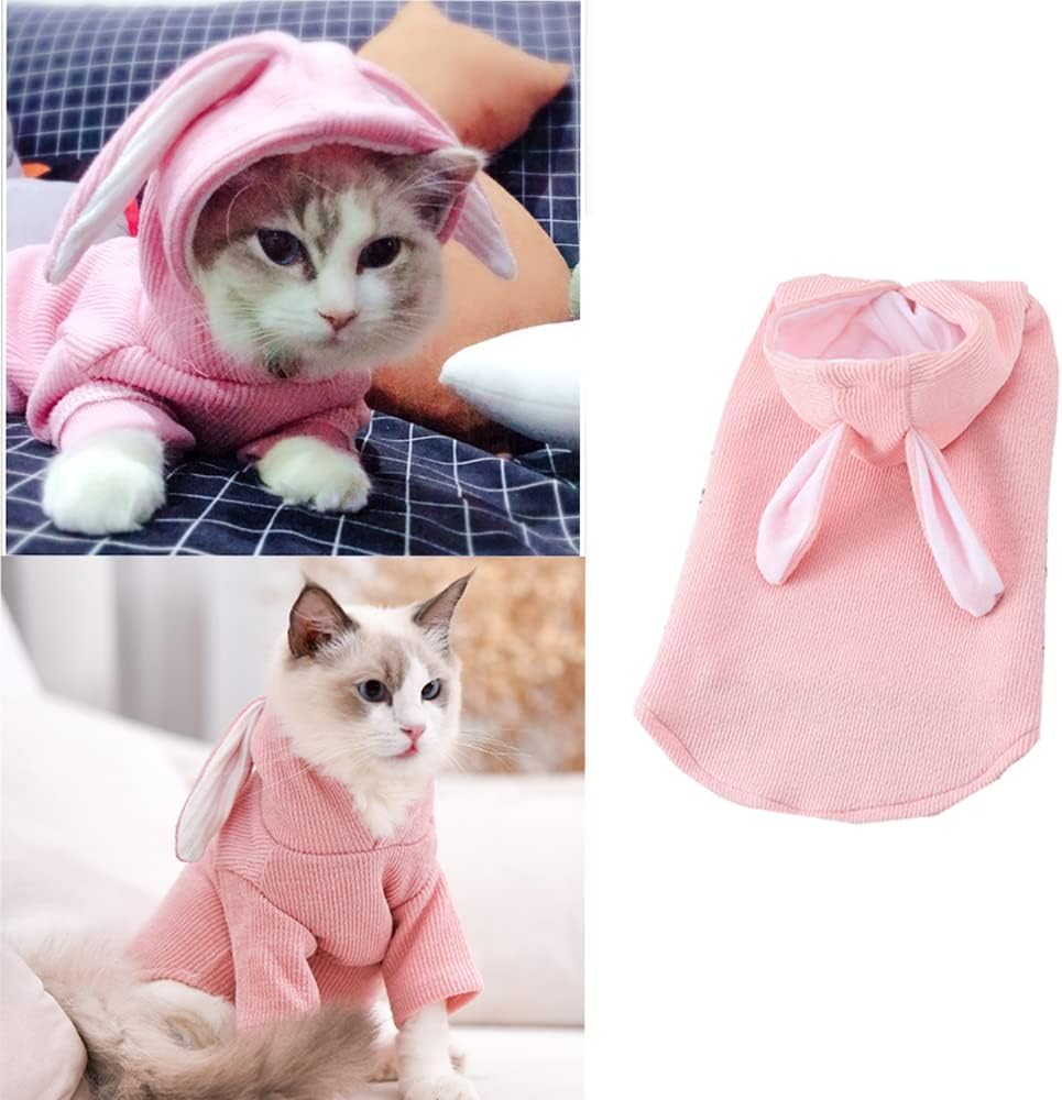 ANIAC Dog Hoodies Sweatshirt with Bunny Ears Spring Puppy Clothes for Small Dog Girl Boy Soft Doggy Sweater Cat Apparel Pet Clothing for Kitten
