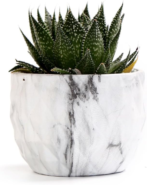 SE SUN-E Sun-E Modern Style Marbling Ceramic Flower Pot Succulent/Cactus Planter Pots Container Bonsai Planters with Hole 3.35 Inch Gift Idea(4 in