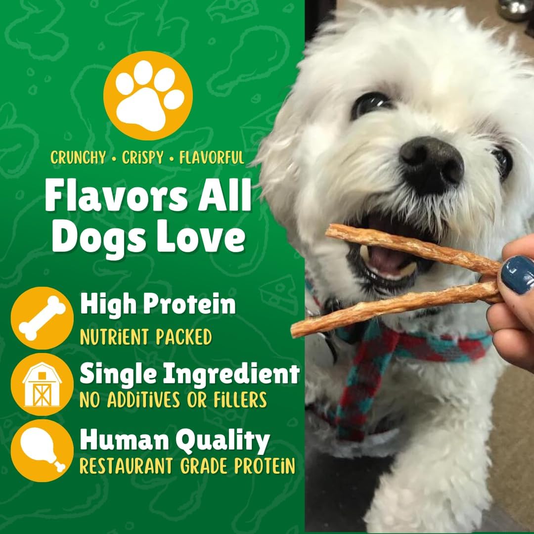 Chicken Jerky Straws Dog Treats – Chicken Sticks for Dogs Made and Sourced in The USA – Natural Single Ingredient Dehydrated Crunchy Treats for All Breeds – 28oz Bag