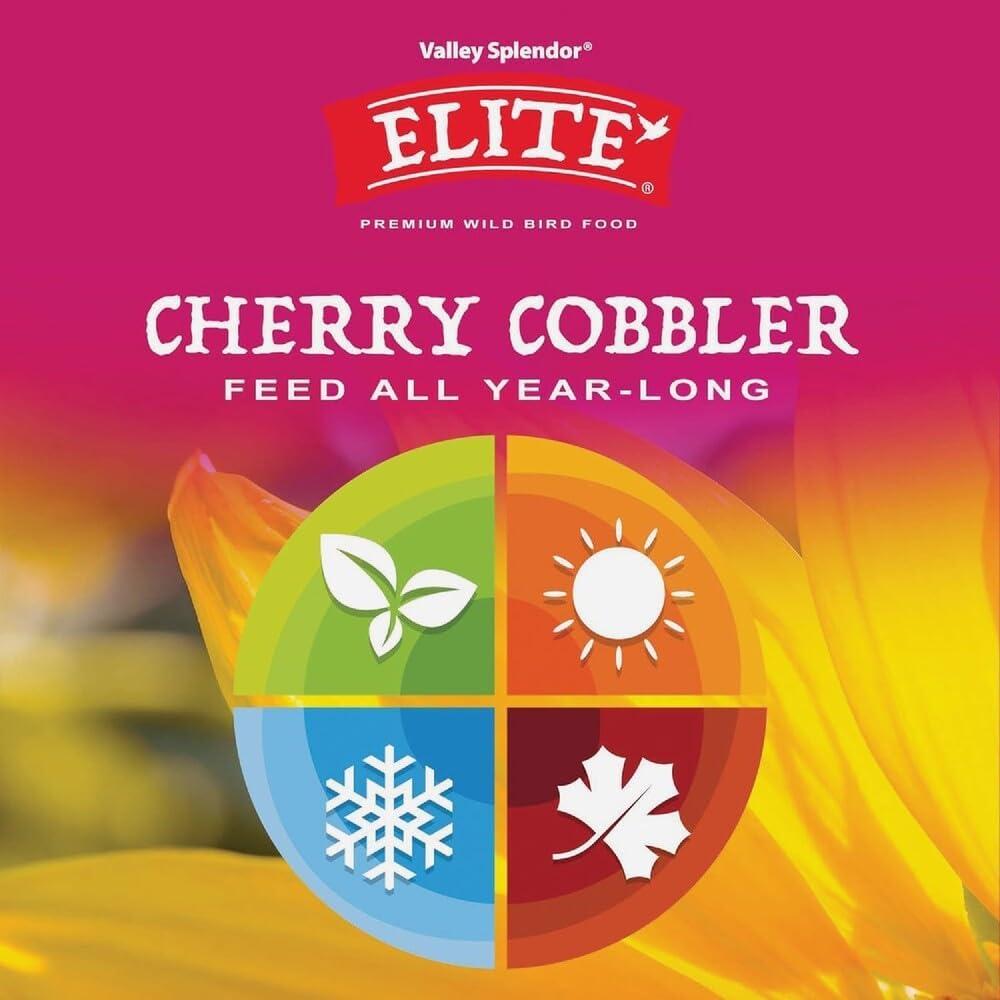 Cherry Cobbler