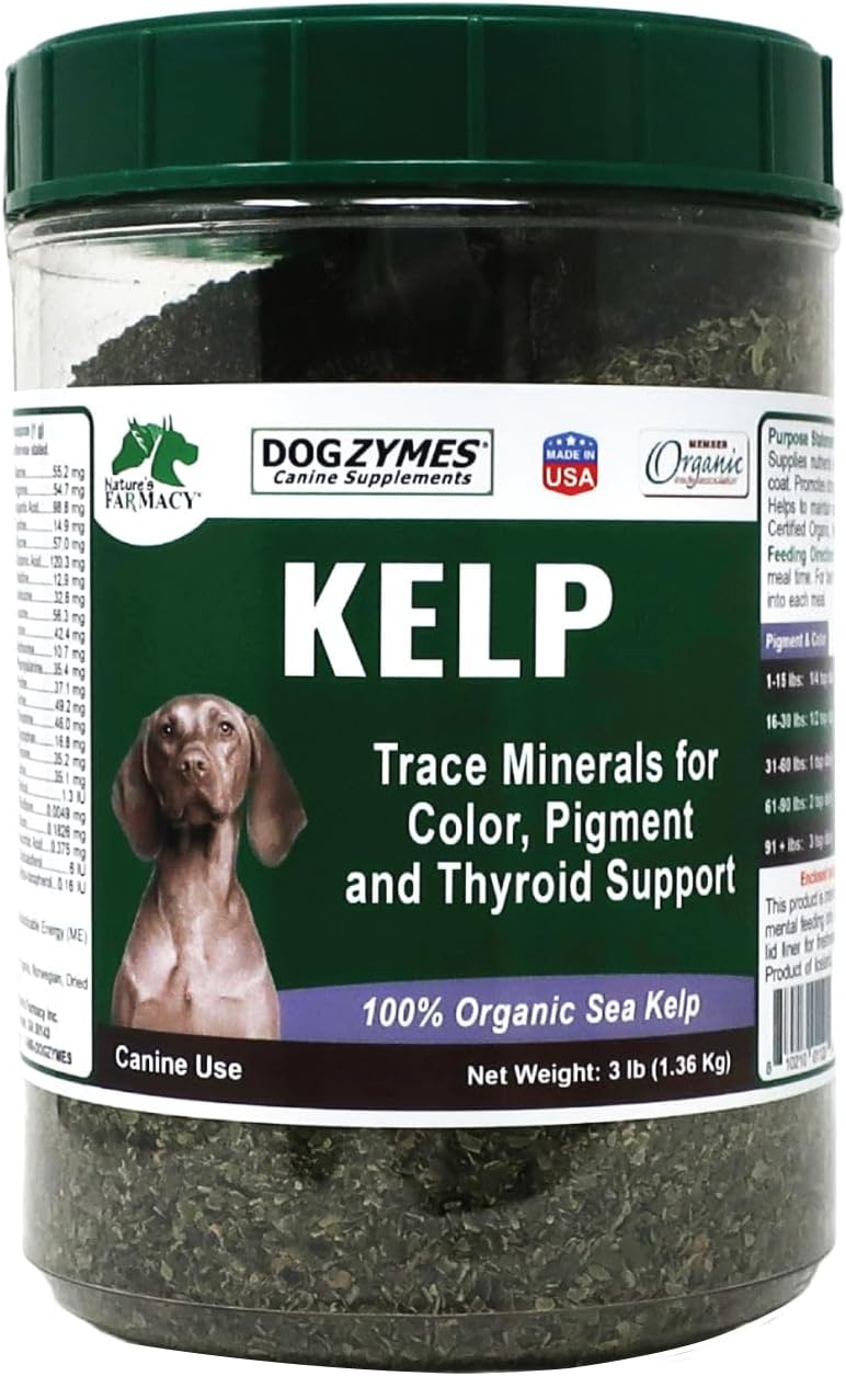 Dogzymes Organic Norwegian Kelp for Pets, a Valuable Nutrition Source Rich in Iodine to Support Gland Function, Especially The Thyroid (3 Pound)
