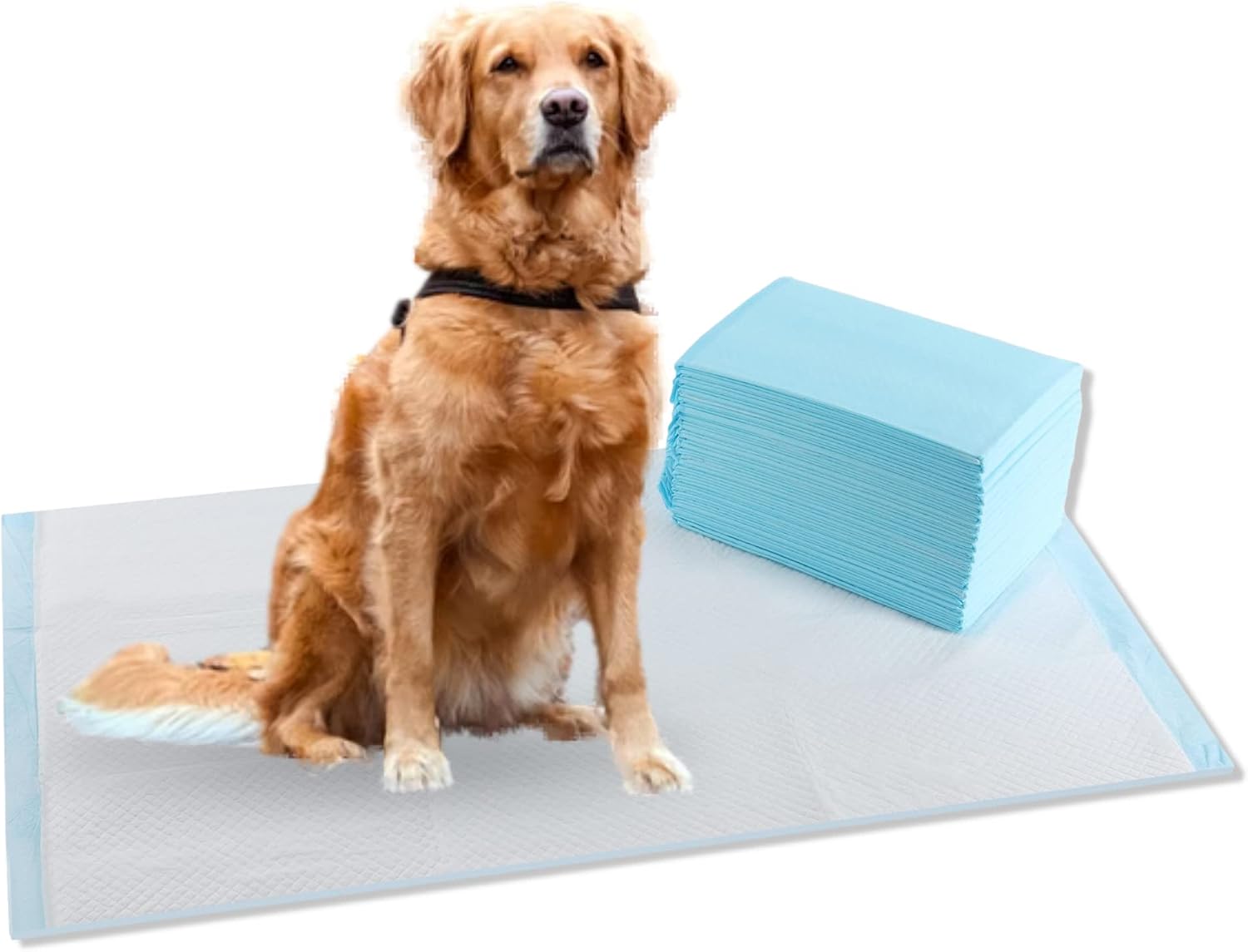 (100 Pads) CalPalmy Ultra Absorbency Pet Toilet Training Pads 18" x 13" Moisture Locking Technology Turns Liquid into Gel - Perfect for Rabbits and