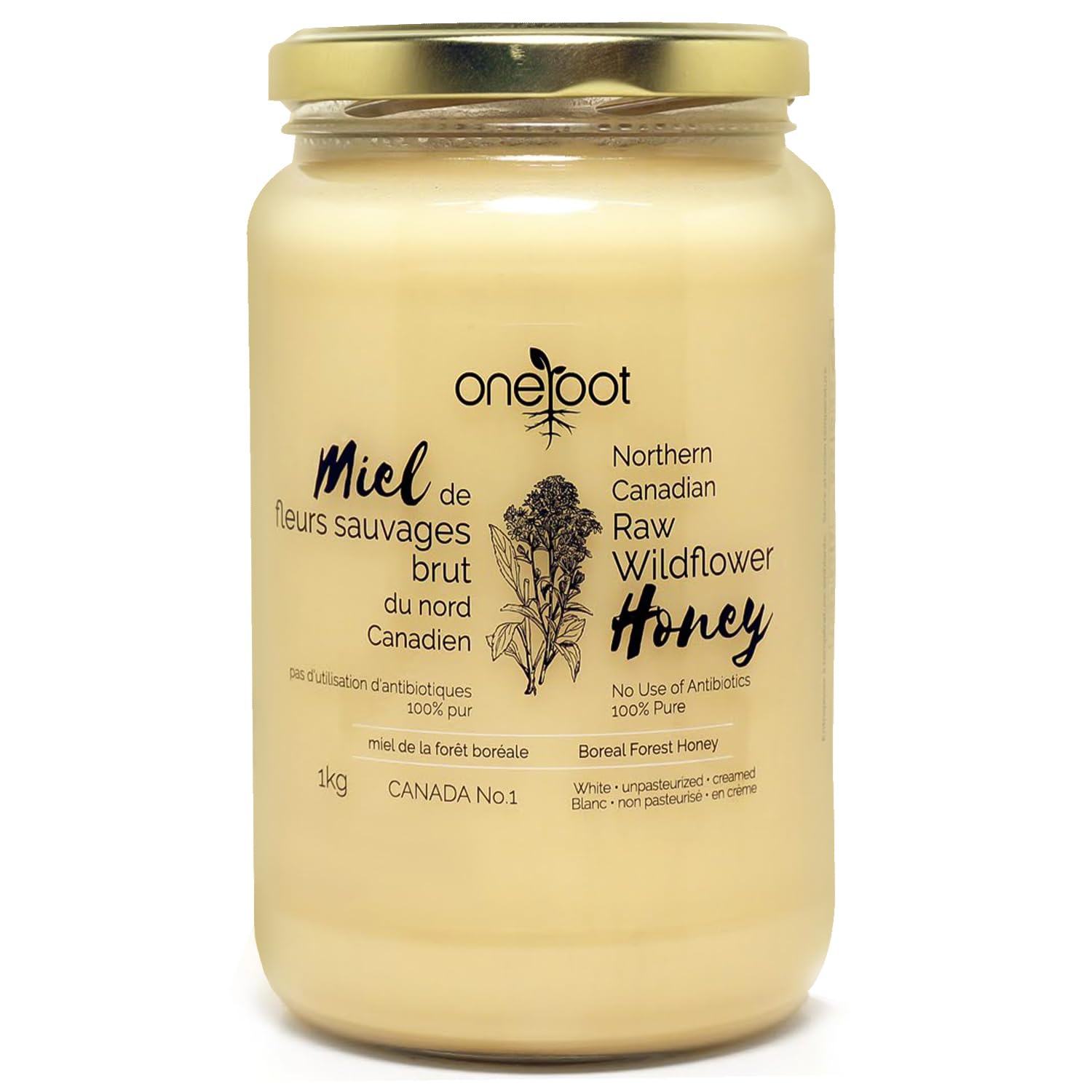 Oneroot 100% Canadian Wildflower Honey - 1.1 lbs, Unheated & Creamed - Nutrient-Rich, Natural Sweetener with Enzymes - Thick & Pure Raw Unfiltered Honey