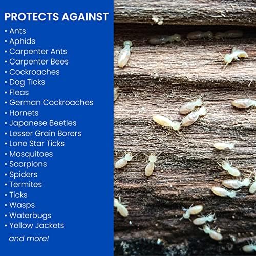 BioAdvanced Carpenter Ant & Termite Killer Plus Spray - 1 Gal Bottle | Ready-to-Use - Kills Carpenter Bees - Indoor & Outdoor Insect Control - Sprayer Included