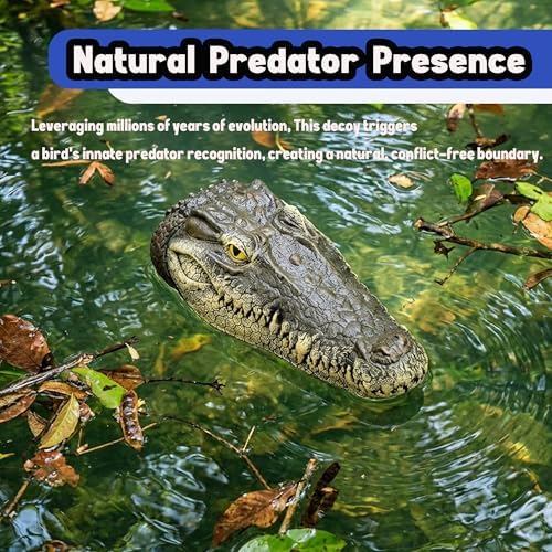 Floating Alligator Head