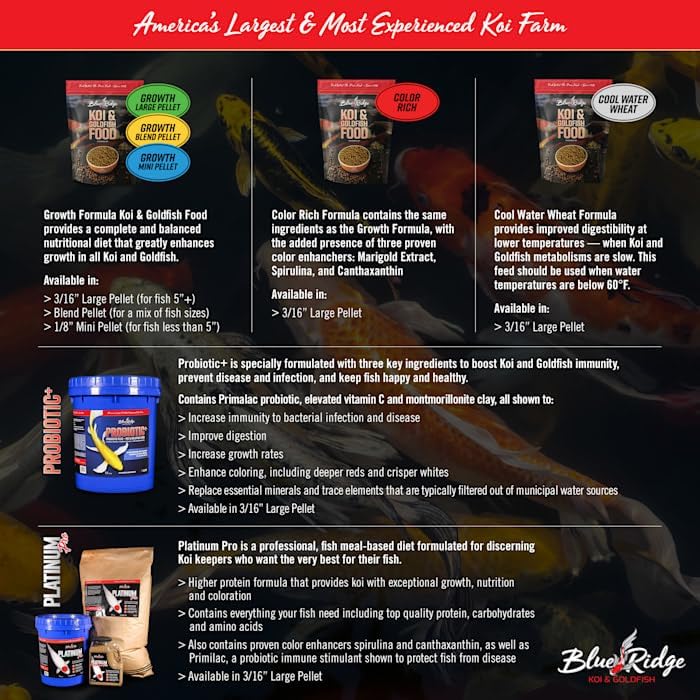 Blue Ridge Koi Fish Food 2lb - Koi Food 3/16” Large and Mini Blend Growth Formula, Goldfish Food, Premium Fish Food for Ponds, Ponds Fish Food, Floating Pond Pellets