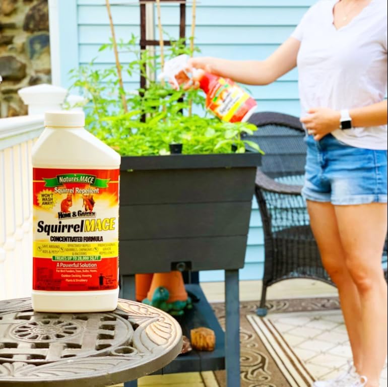 Nature's Mace Squirrel Mace Repellent 40 oz Spray | Squirrel and Chipmunk Repellent, Keep Squirrels Out of Your Garden, Attic, Bird Feeders, Fruit Trees, Plants, Potted Plants.