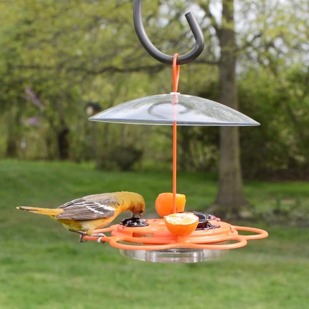 Nature's Way OFM1 Wire Oriole Feeder