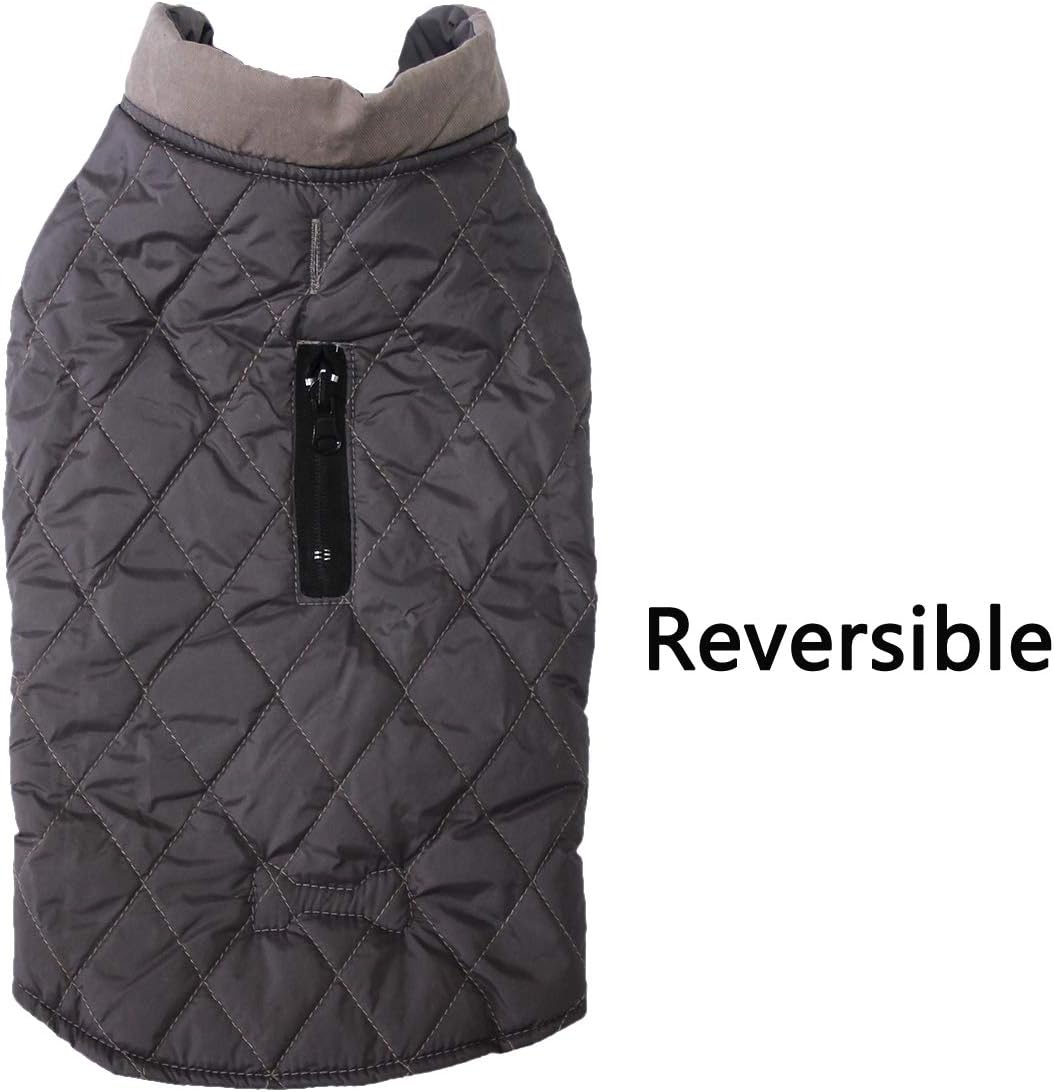 Vecomfy Reversible Dog Coat for Small Dogs with 2 Leash Openings