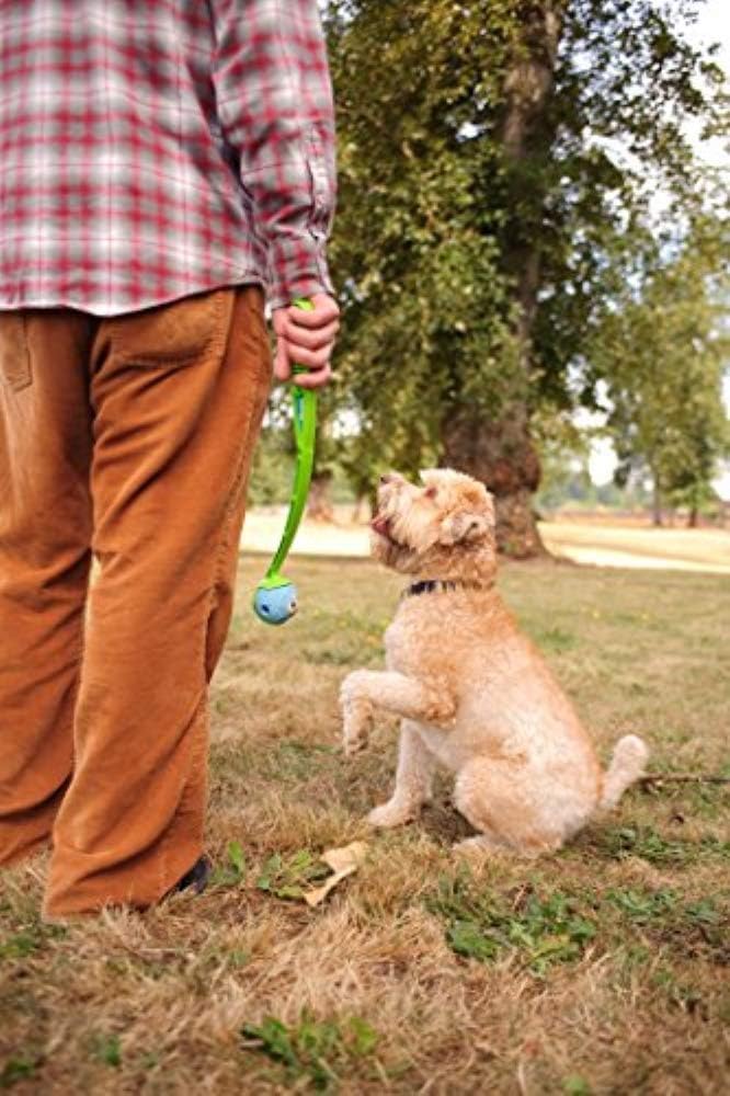 Chuckit! Fetch Pack Dog Balls - Interactive Dog Toys, High-Bounce Fetch Ball, Floating Ultra and Rugged Balls, Durable - Size Small, 2-inch Diameter, Set of 3