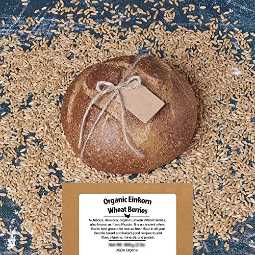 Organic Einkorn Farro Grain 4.8 lb - Einkorn Wheat Berries Bulk Whole | Ancient Grains Ideal for Soup, Flour, Bread - High in Fiber - USA Grown | USDA Certified | Vegan | Non-GMO