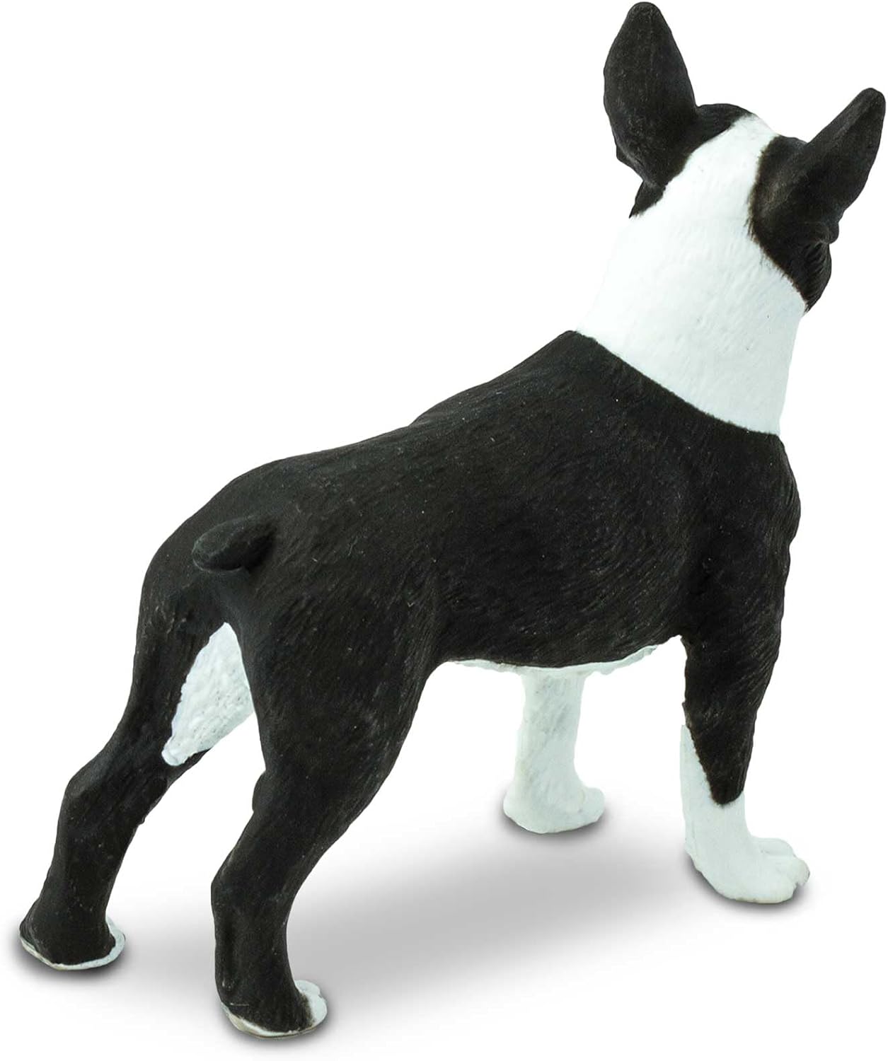 Safari Ltd. Boston Terrier Figurine - Lifelike 2.5" Model Figure - Educational Toy for Boys, Girls, and Kids Ages 3+