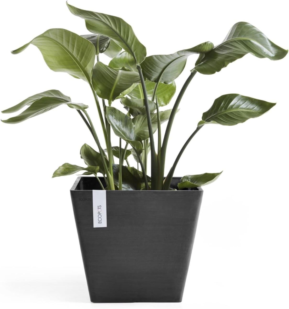 Ecopots Rotterdam Square Flower Planter, White Grey, 8" | Modern Style, Durable Recycled-Based Composite Construction, Weather and UV-Resistant, for Indoor/Outdoor Use
