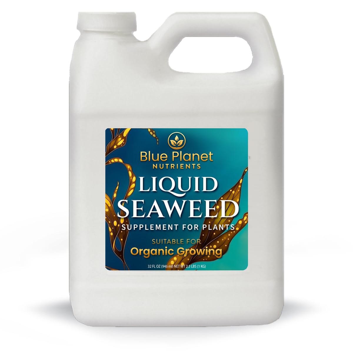 Liquid Kelp Seaweed Fertilizer Concentrate - Blue Planet Nutrients Ascophyllum Nodosum Liquid Seaweed Supplement - Makes 470 Gallons - Quart (32 oz)