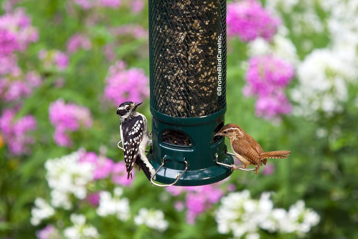 Squirrel Buster Legacy Squirrel-Proof Bird Feeder for Wild Birds – 4 Metal Removable Perches, 2.6 lb Seed Capacity, Chew-Proof Design, Easy to Clean, Green | Four removable metal perches, chew-proof construction, tool-free cleaning