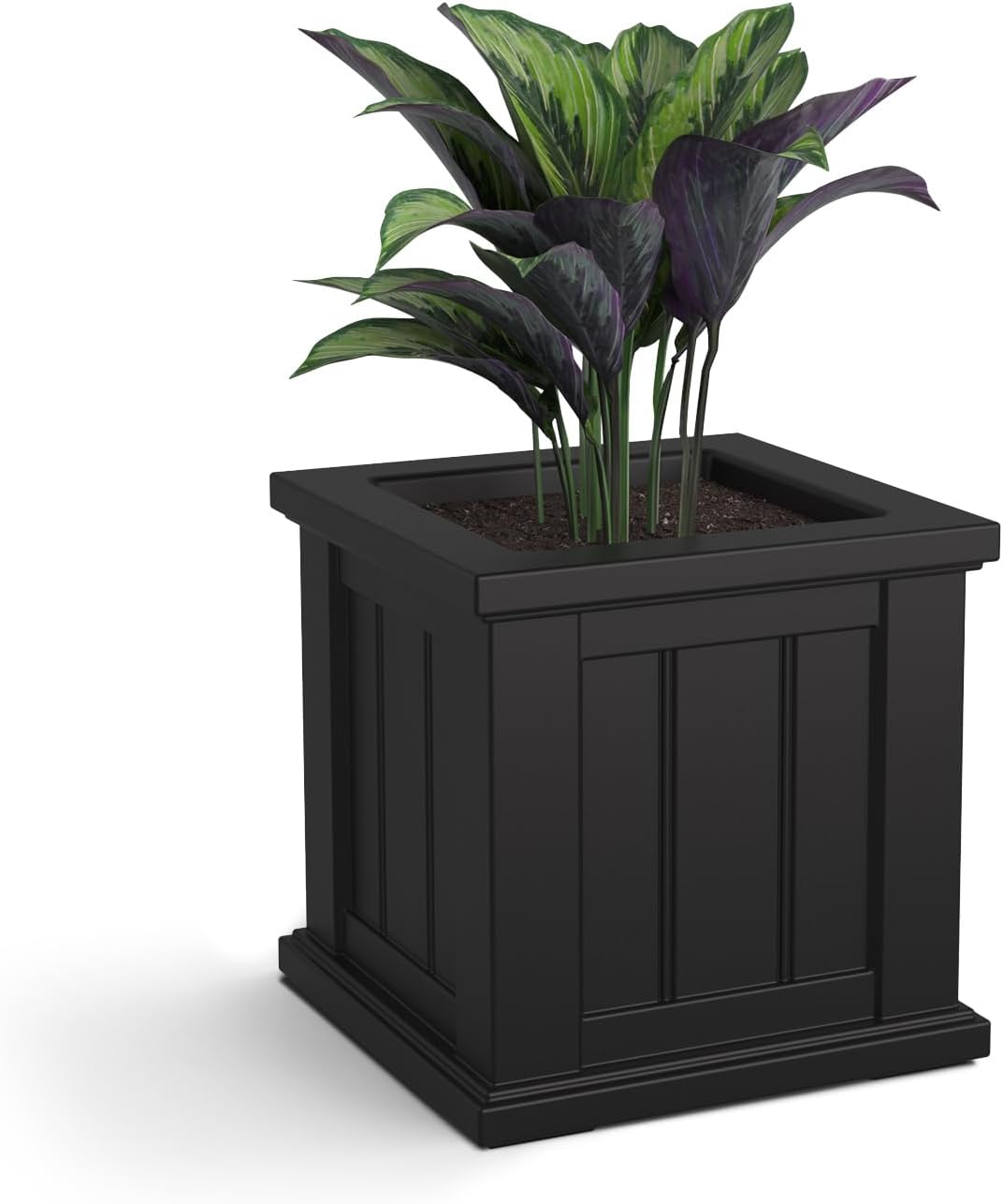 Mayne Cape Cod 14in Self-Watering Square Planter, Black | Self-watering, All season, Fade resistant, Double-wall design, 15-year warranty