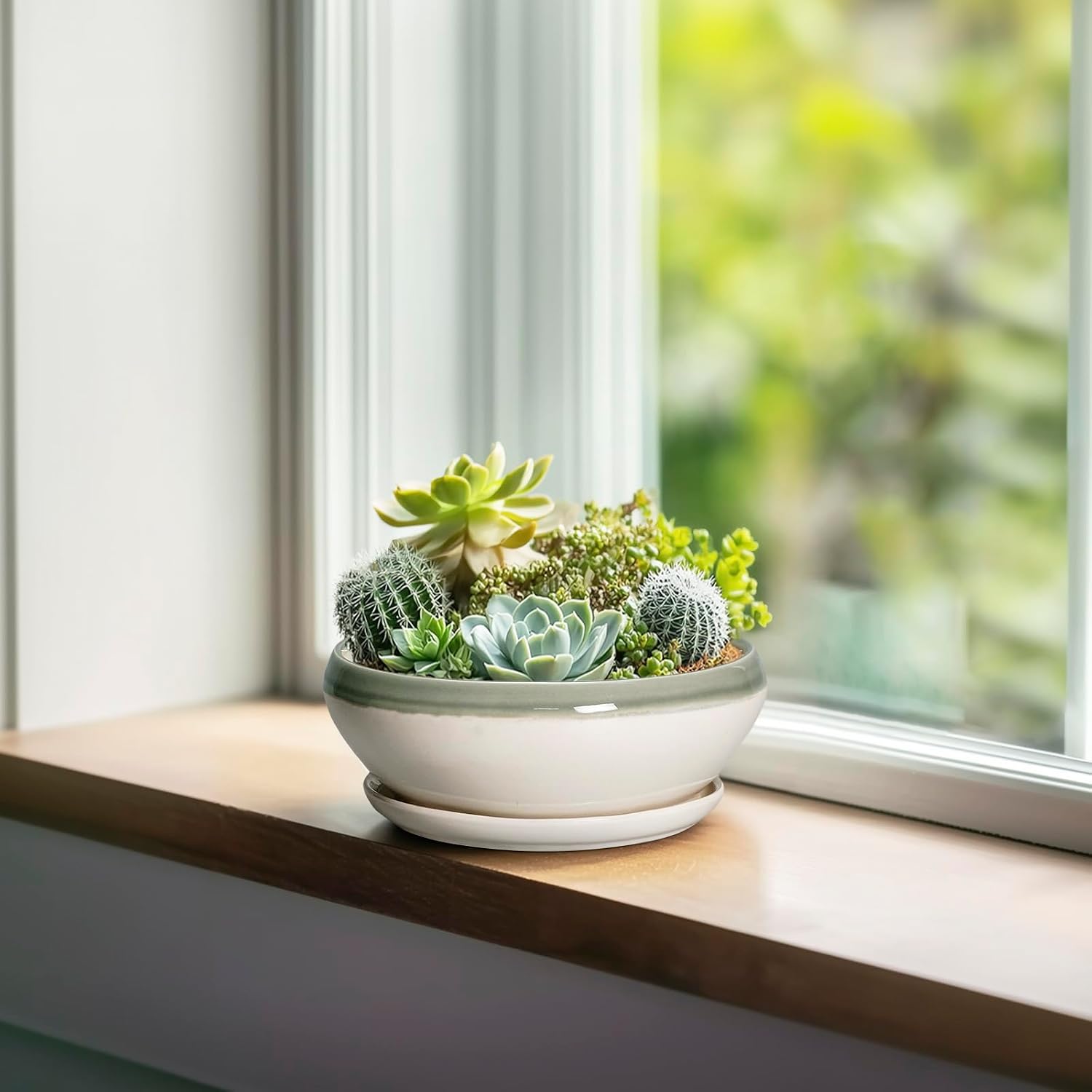 SQOWL 7 Inch Round Ceramic Succulent Planter Pot Drip Glazed Shallow Planter with Drainage Bamboo Tray for Indoor Plants