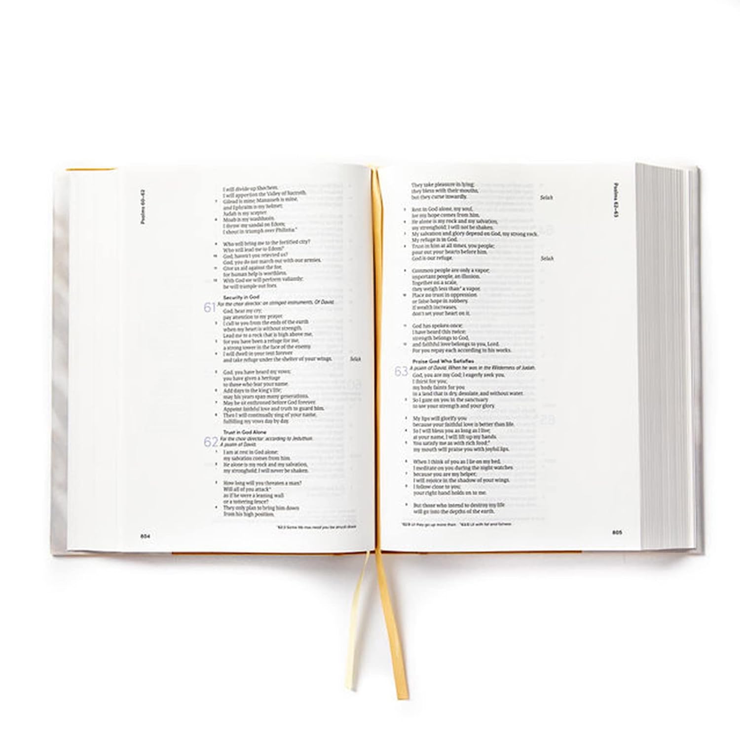 CSB Lifeway Women's Bible, Camel Cloth Over Board, Black Letter, Single-Column, Wide-Margins, Devotions, Articles, Word Studies, Character Profiles