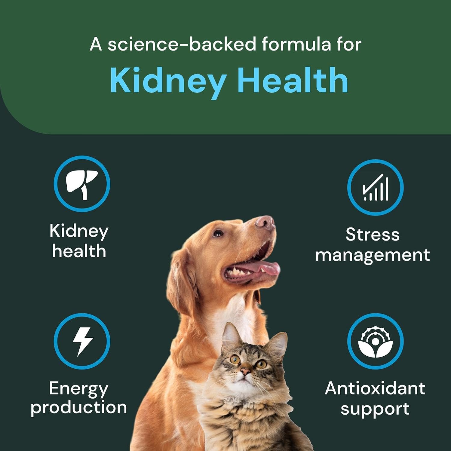 Vetriscience Veterinary Strength Kidney Health Chews - Balanced Kidney Support for Pets - Feline & Canine Renal Support - Holistic Formula - Chicken