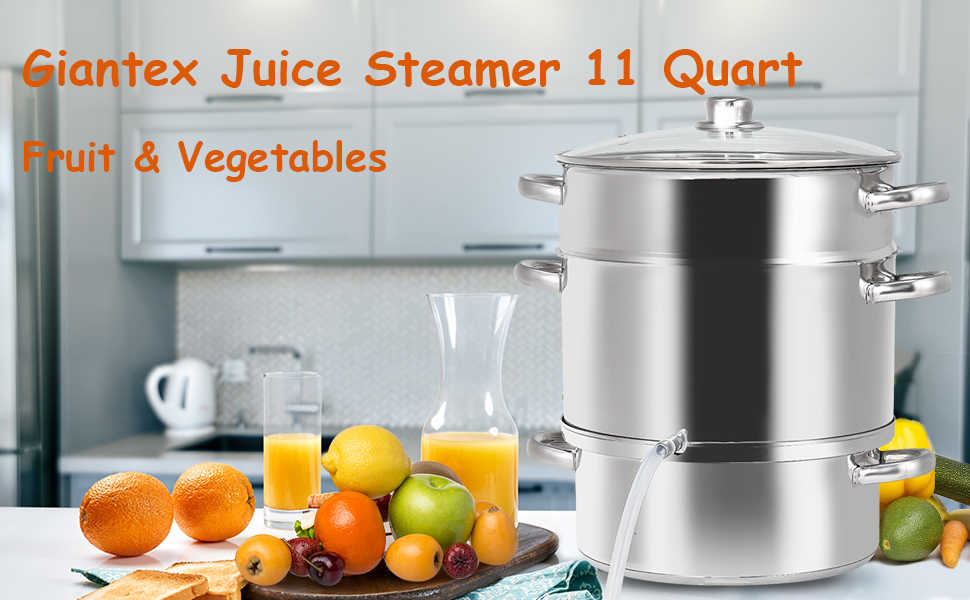 juice steamer