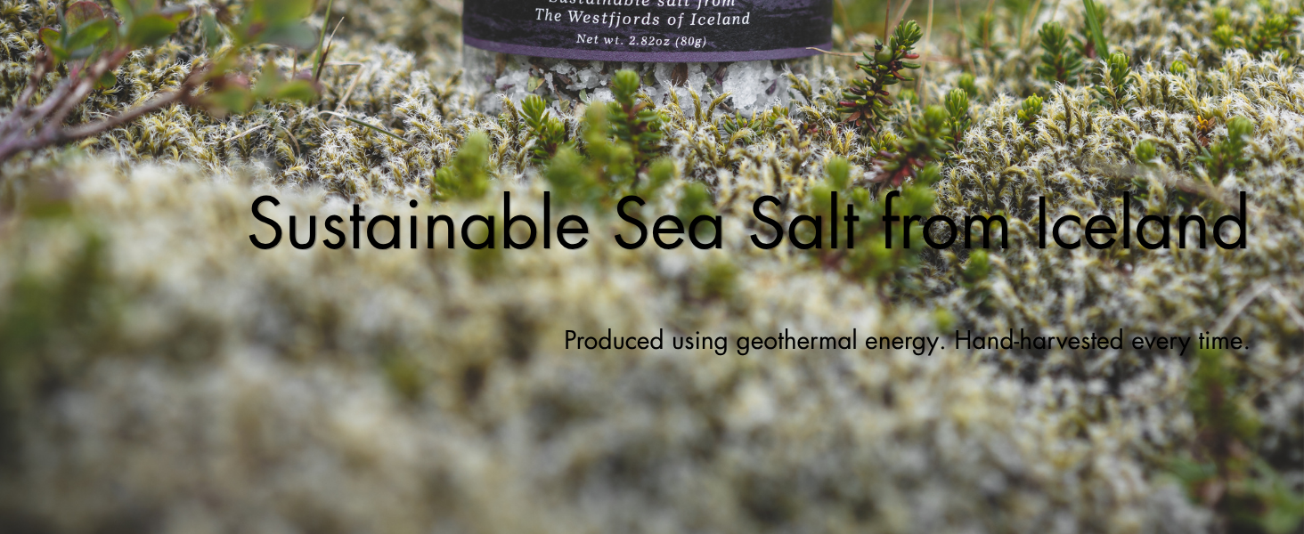 Arctic Thyme 2
