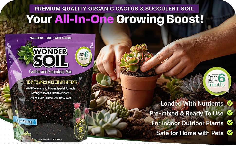 cactus succulent coco coir mix porous ready formula indoor outdoor plants soil organic natural