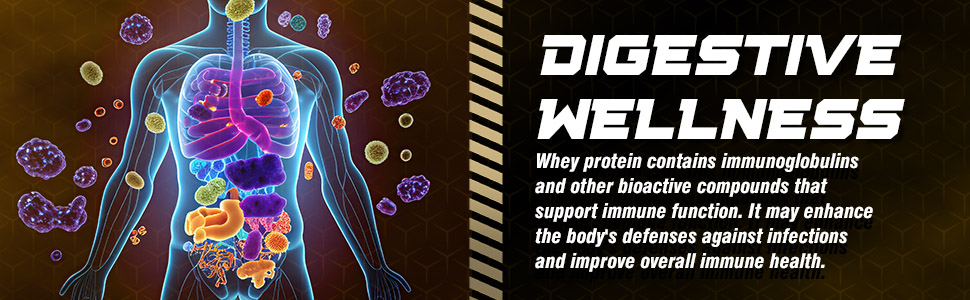 protein powder