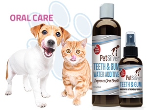 kitten tummy syrup trachea food sick lung ear oral health remedy humans medical personal puppies