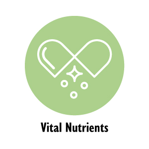 green icon for vital nutrients section for celebrate bariatric vitamins