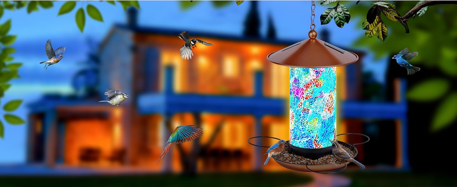 solar bird feeder