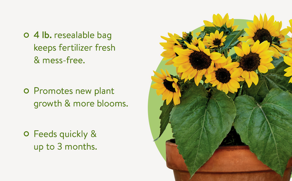 All Purpose 4lb resealable bag!