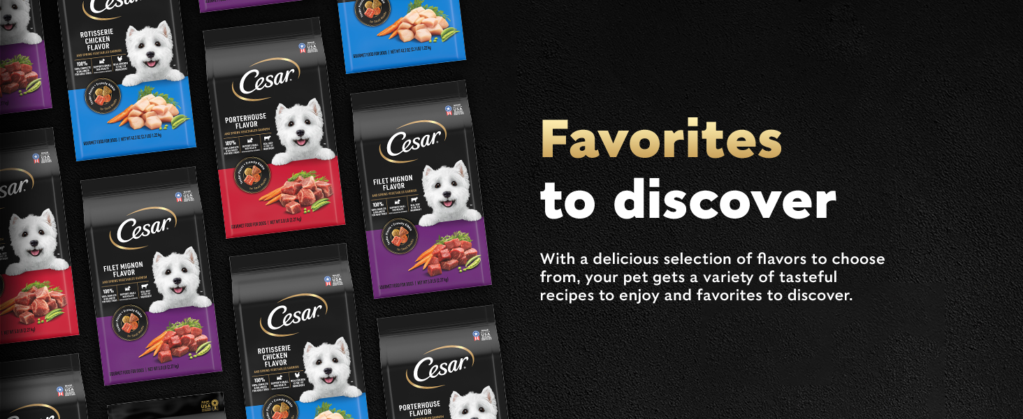 Cesar Dry Dog Food