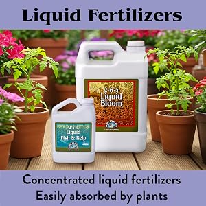 Liquid Fertilizers