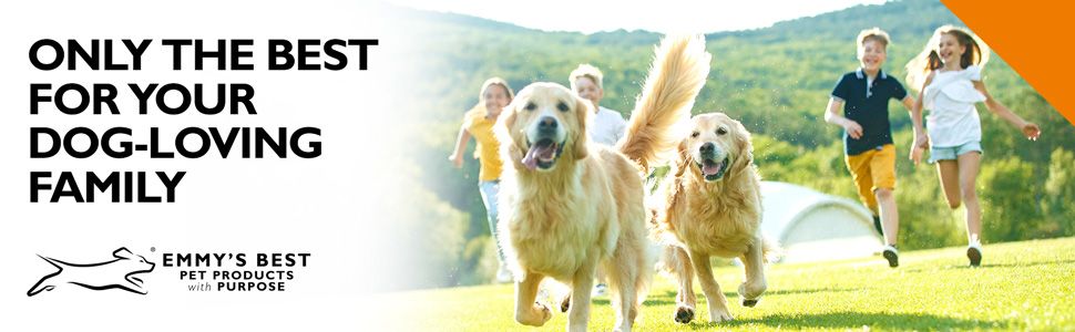 Loving pets treat for dogs