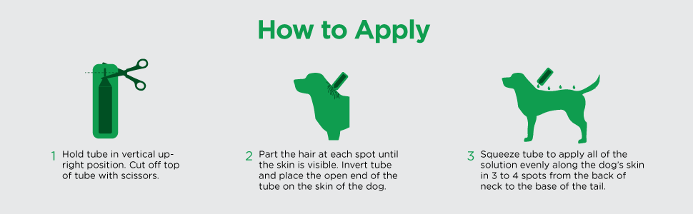 Activate II small dog