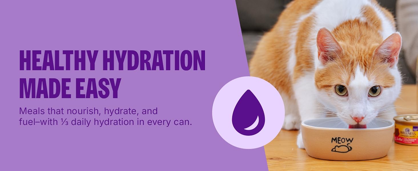 Healthy Hydration Made Easy