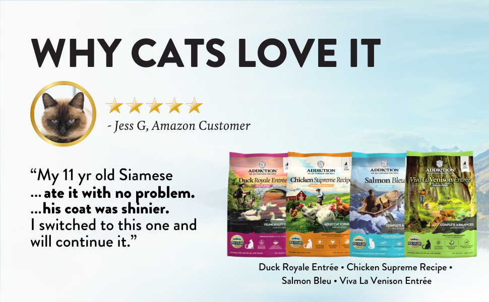 Addiction Salmon Bleu – Omega-3 Rich - Grain-Free Dry Cat Food for All Life Stages – 4lbs