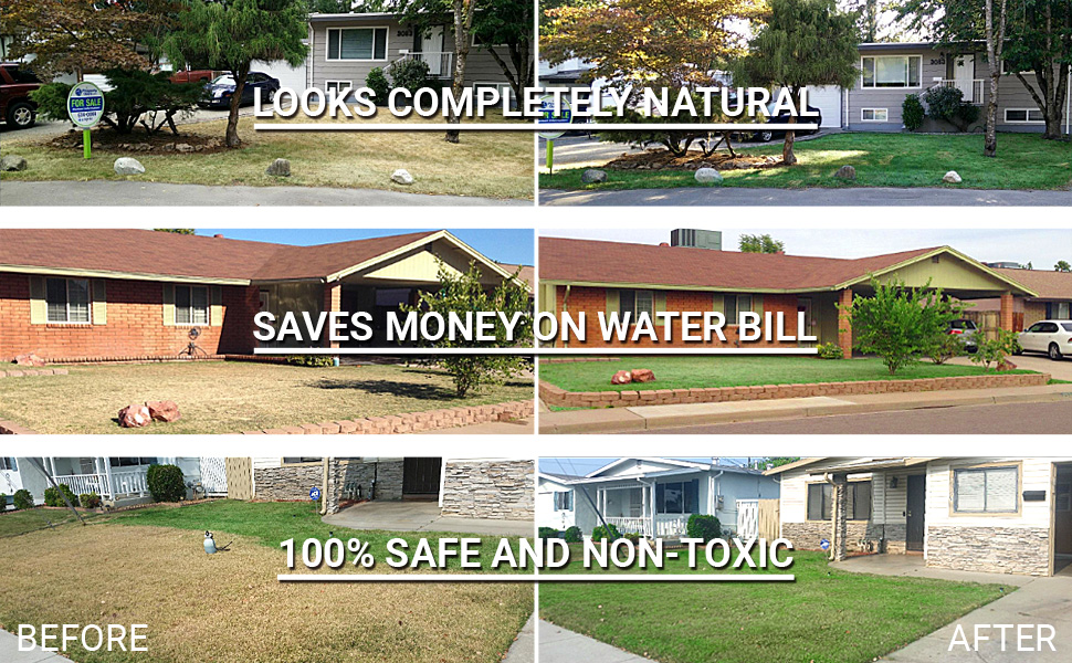 lawnstar grass paint before and afters real customer pictures