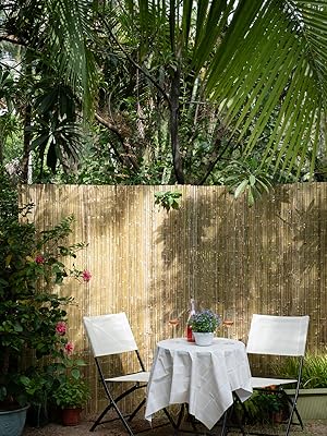 bamboo slat fence