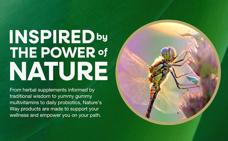 Inspired by the power of nature banner featuring a dragonfly sitting on a plant